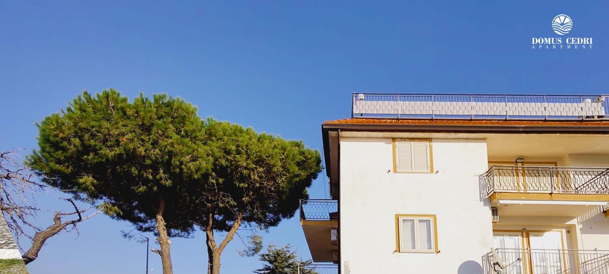 Domus Cedri Apartment 圣玛丽亚德尔西德 外观 照片